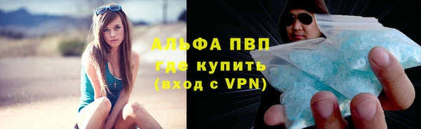 сатива Балахна